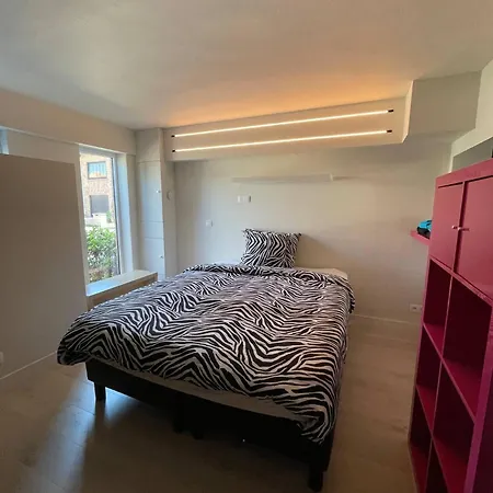 Modern Flat With Garden Oostende
