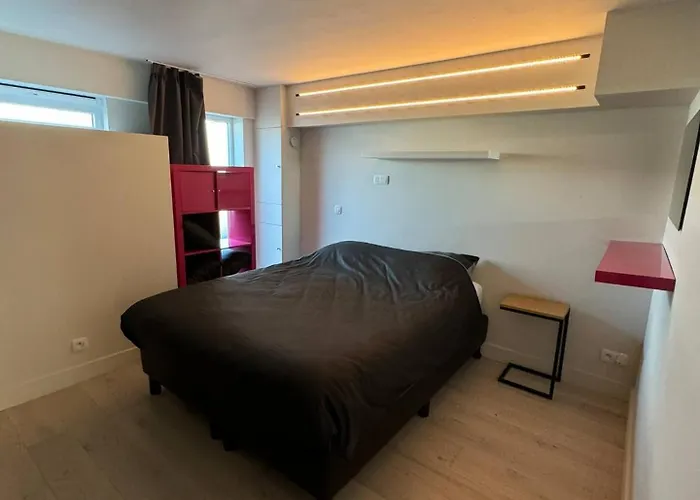 Modern Flat With Garden אוסטנדה