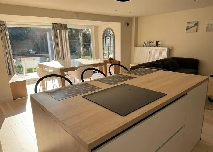 度假居 Modern Flat With Garden 奥斯滕德