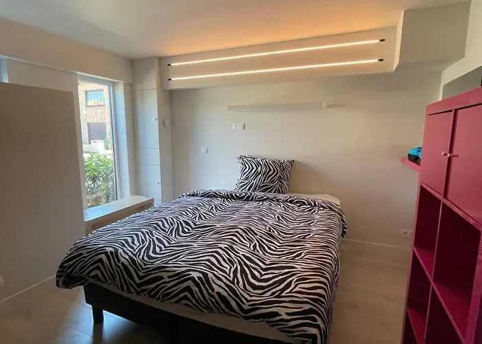 Modern Flat With Garden אוסטנדה